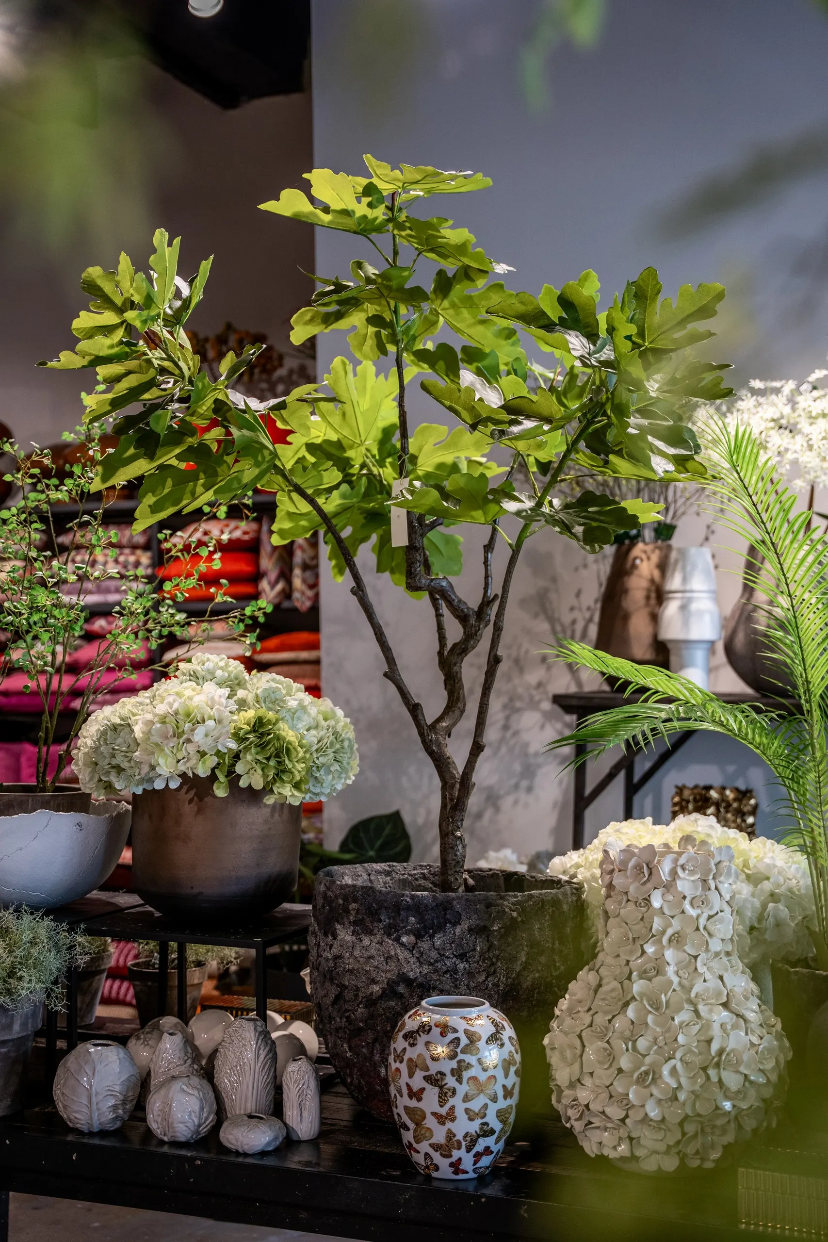 Stilleven in de winkel: een vijgenboom in een grove pot, witte hortensia's, een vaas vol witte bloemblaadjes en kleine keramieken potten
