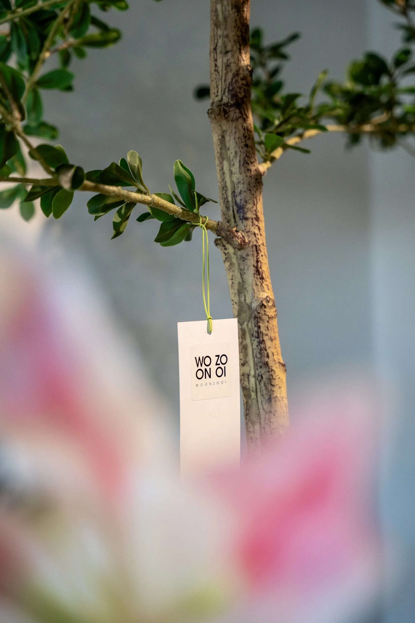 Een wit label met het logo van Woonzooi aan een boompje, achter onscherpe roze bloemen