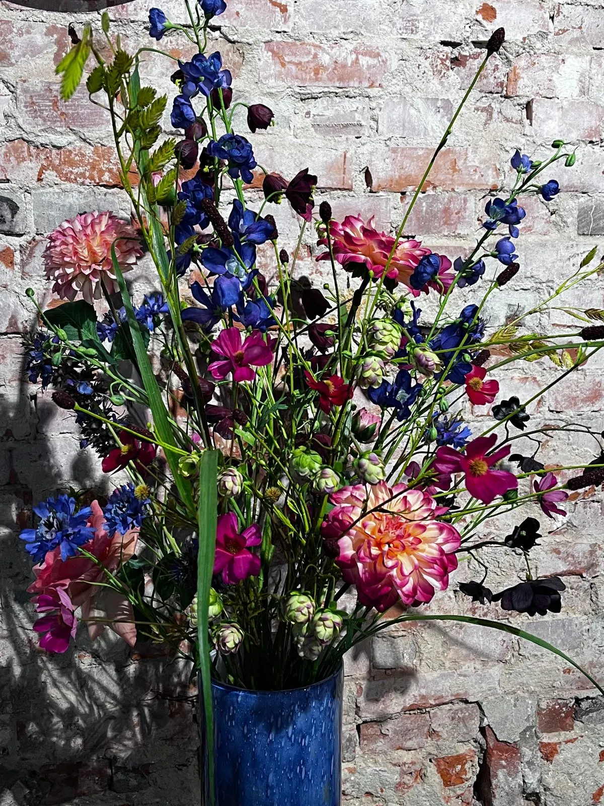Losse schikking van blauwe ridderspoor, roze dahlia's, fuchsiaroze cosmea's en donkere chocoladecosmea's in een kobaltblauwe vaas, voor een bakstenen muur in de zon