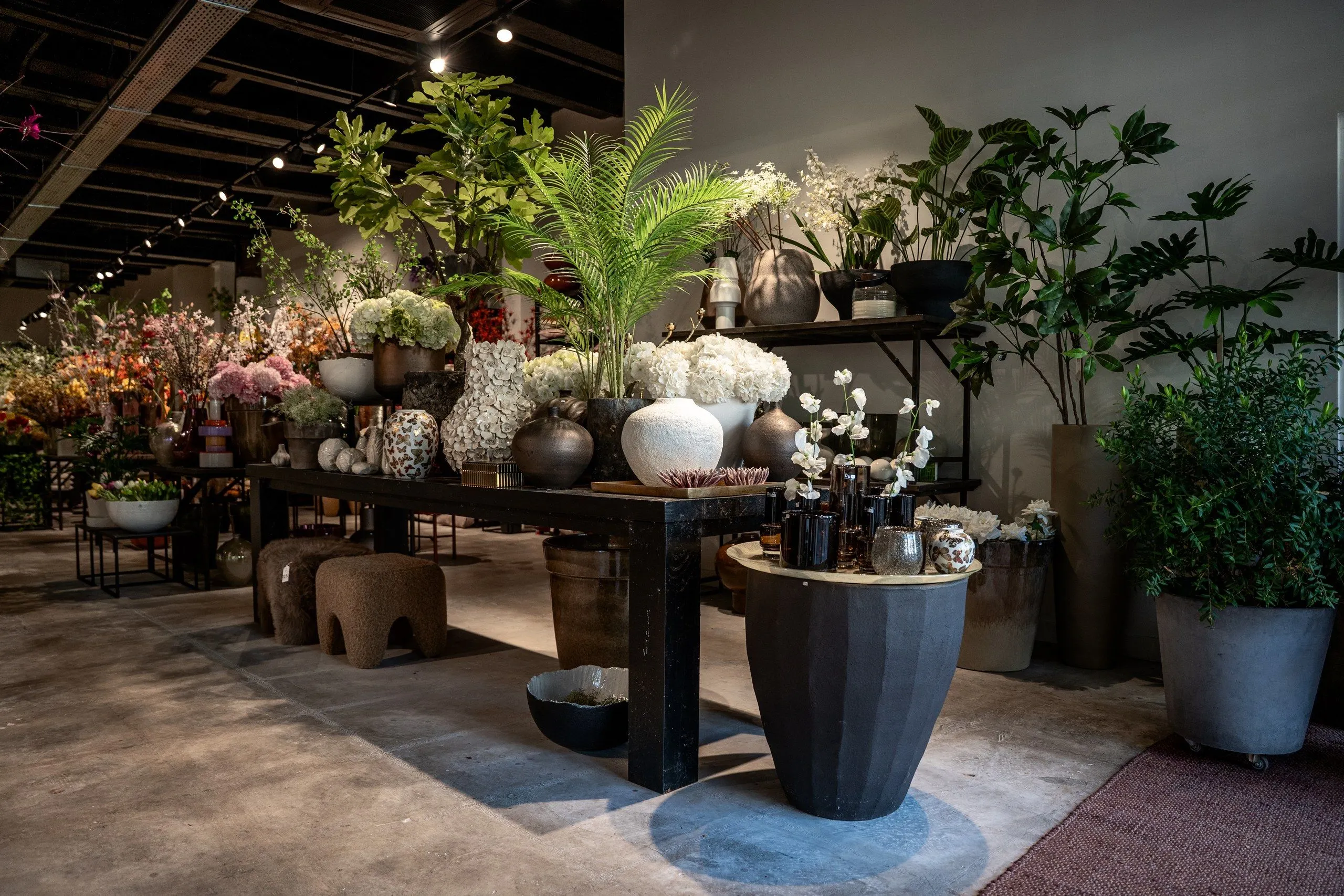 De winkel in de breedte: een lange zwarte tafel met vazen en witte hortensia's, een grote zwarte pot ervoor, planten en een palm, en achterin nog meer bloemen
